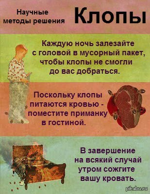 Днем рождения, постельные клопы смешные картинки