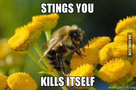 Overly Dramatic Bee - Bees, Dramatic, Bite, Kill, Myself, 9GAG, Tag