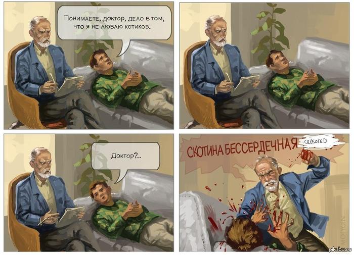 Любите котиков