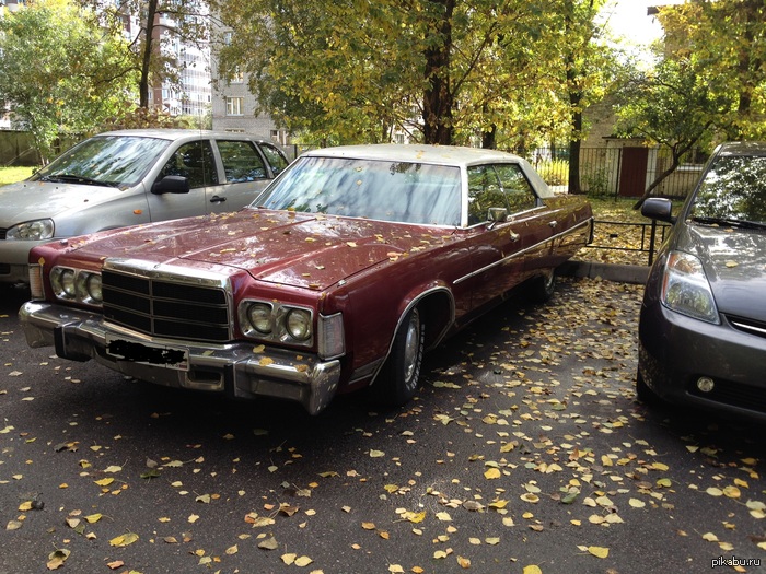 В моем доме поселился замечательный сосед.