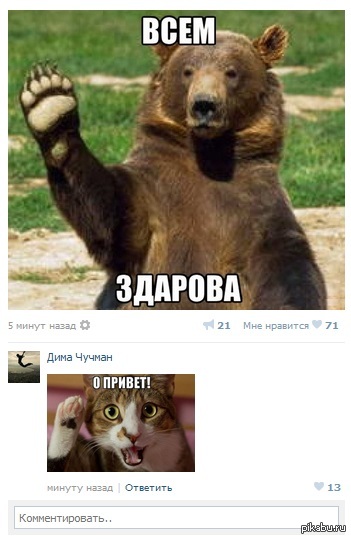 Что Такое Фото Привет