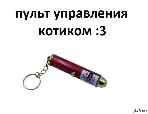 Пультик=) | Пикабу