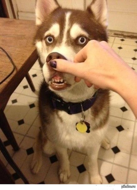 Таможня дает добро