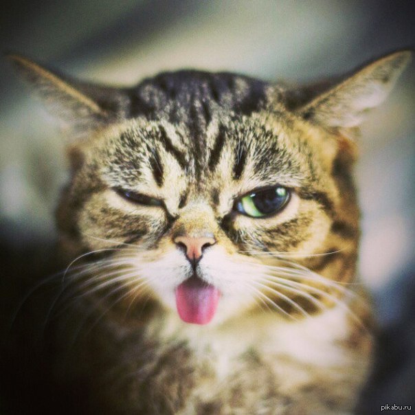 Lil BuB     ,?))