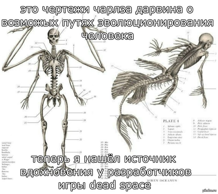 ��� ��� ���...