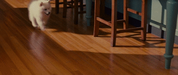 ��� � �������� �� ������ ��������