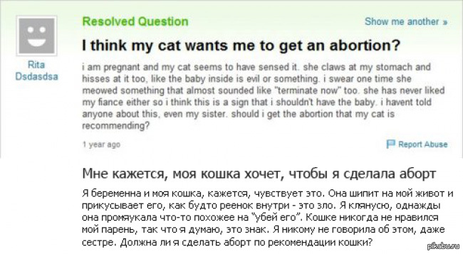 Ago report. Как сделать аборт кошке. Сколько стоит кошачий аборт. Сколько стоит аборт кошке.