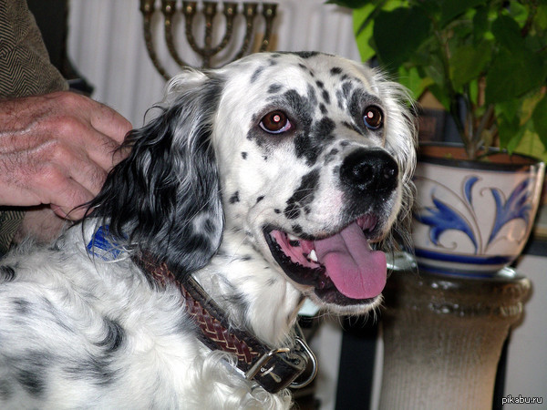 ������� ��. 2