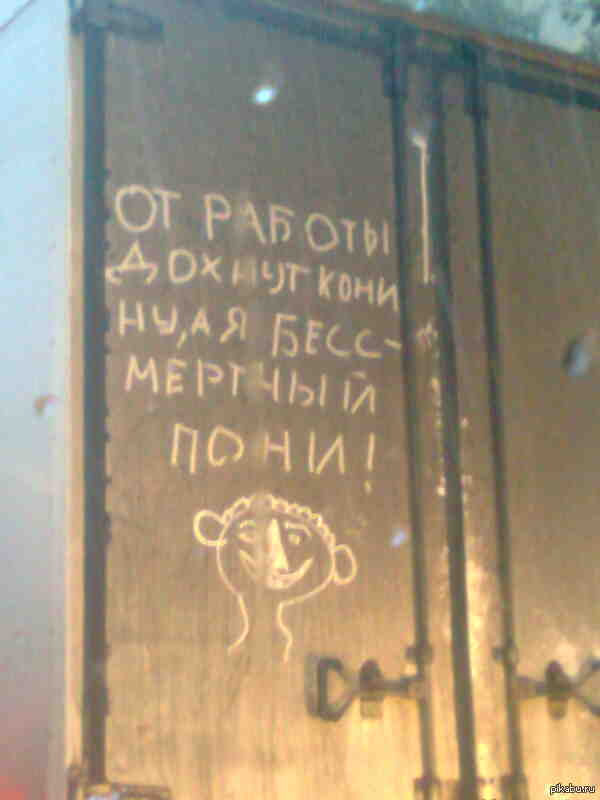 ����� �������� �����