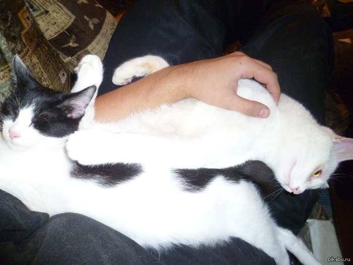 ��� ���� ����� ��� ���������! �� ������� ��� �����!