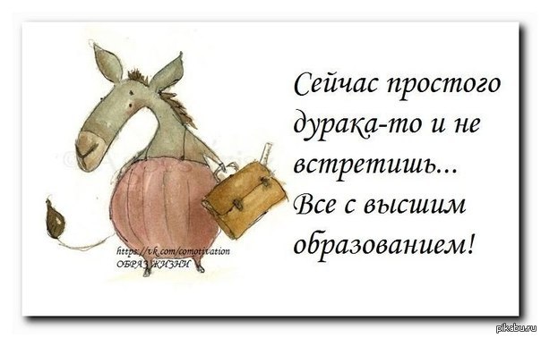 Сейчас проще. Сейчас простого дурака и не встретишь. Сейчас простого дурака и не встретишь все с высшим образованием. Открытки легко дуракам. Сейчас простого дурака-то и не встретишь... Все с образованием!.