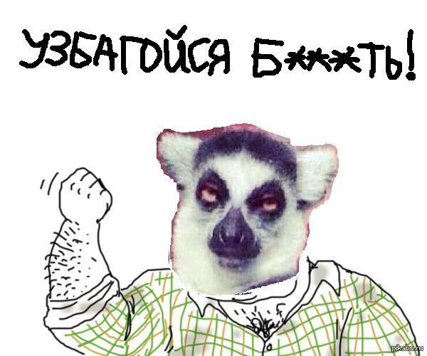 Fuck off! - NSFW, Uzbagoysya, Men, Lemur