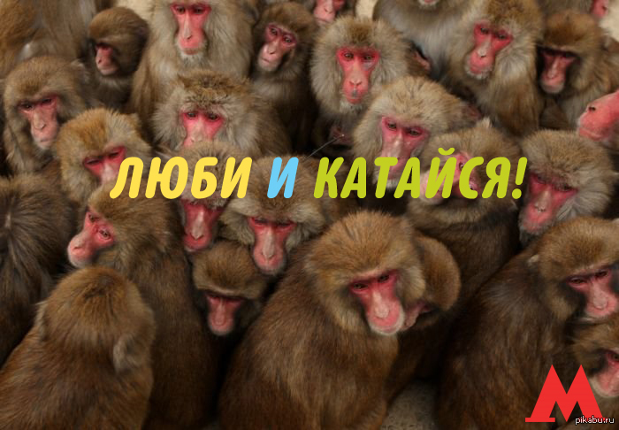 ���� � �������