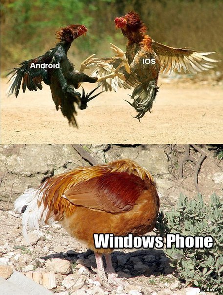 ����� �������