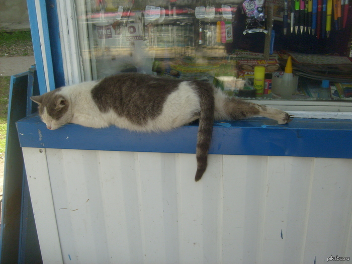 ���� �� �� ��������