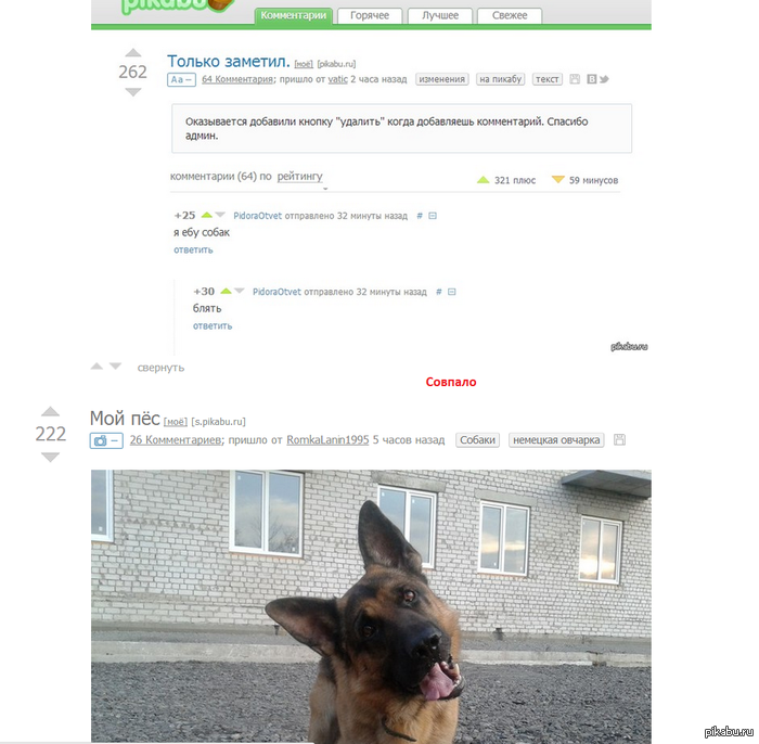 ������ �������.