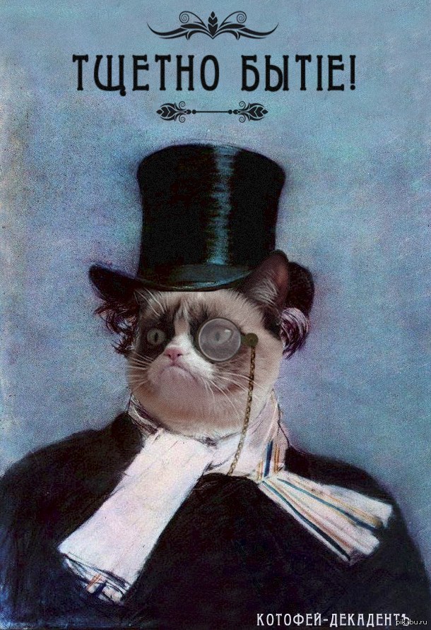 Тщетность это. Кот с моноклем. Кот интеллигент. Кот в пенсне и в шляпе. Цилиндр и монокль.