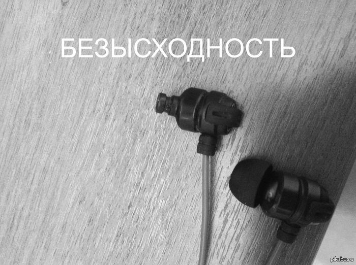 ����� - ����