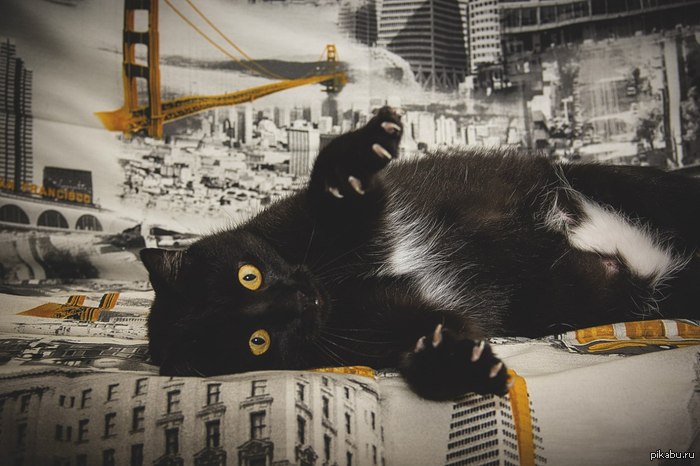 Сфоткай типа я Росомаха :)