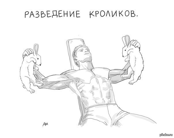 Прикольные картинки про качков
