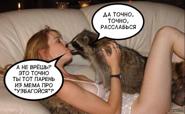 Raccoon - NSFW, Raccoon, Uzbagoysya, Cunning