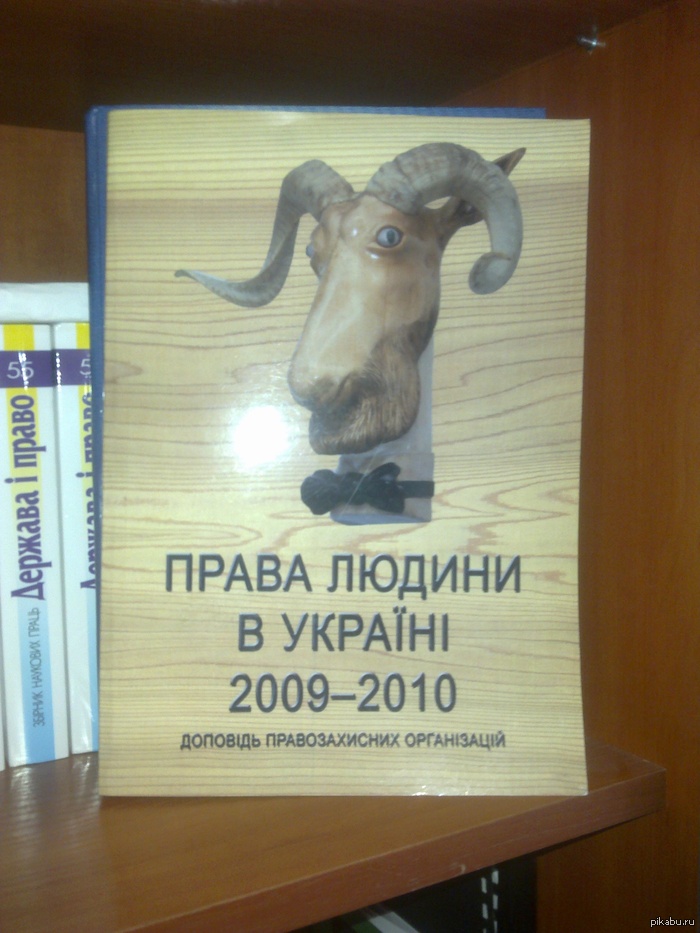 ���� �������� � ����������� ���� �����))