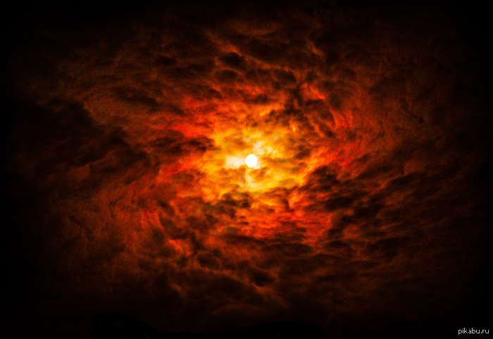 ���������� ���� �� Nikon D3100 ����� ������� �������� �� �������