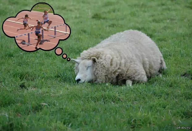 ���� �������, �����..