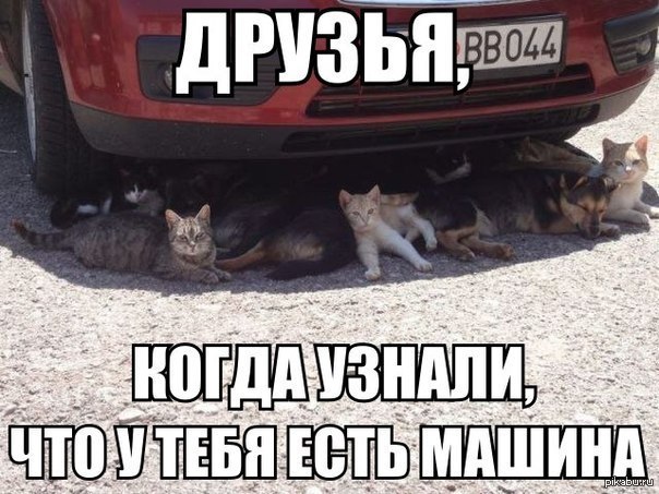   ! 