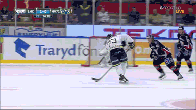 Вратарь явно знает Кунг-Фу...