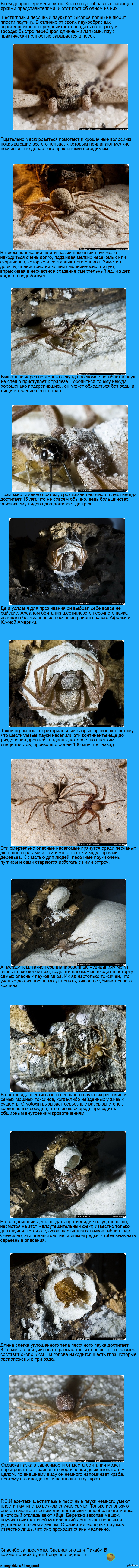 �������� ����, �������������� ����.