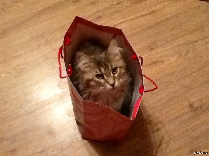 День рождения вчера был