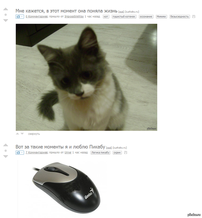 "Говорят, царь — ненастоящий!"