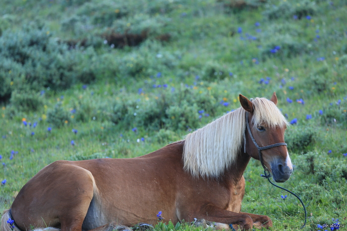 �� ������, ��� ���� �� �������