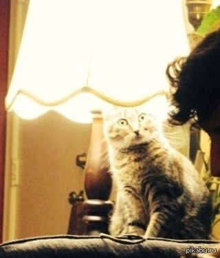 Когда приходит идея )