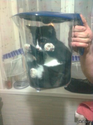 ���� ��������� �� ������, � ���� �� ��������...