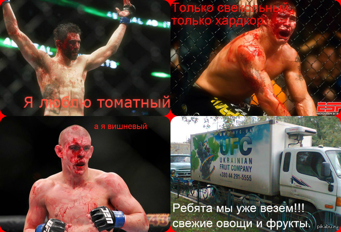 UFC -    . 
