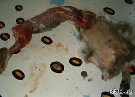 ��� ���, ��� ����������� ��� ���� � ��������� ���� ����� ���� ����� �� ���