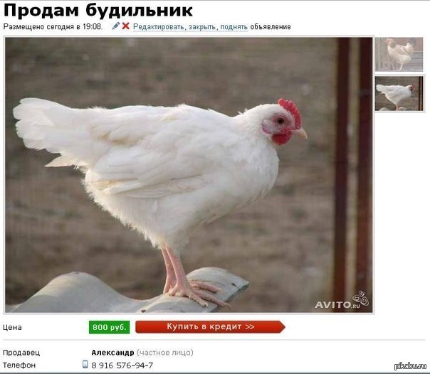 Как вариант | Пикабу
