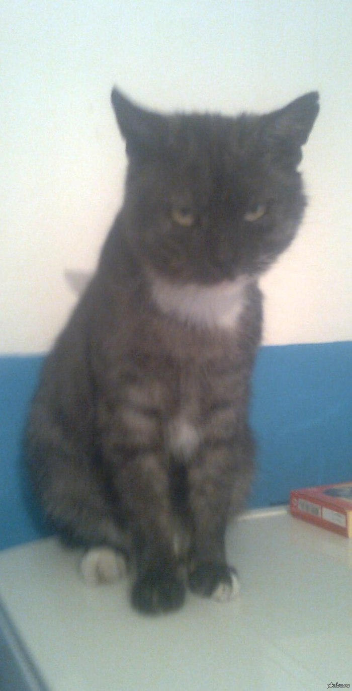 � ���� ����, ����� ����� � ������.