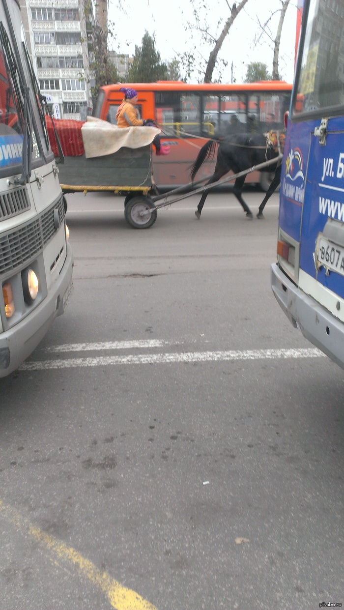 ���� �� ���������, ������ �� ������...