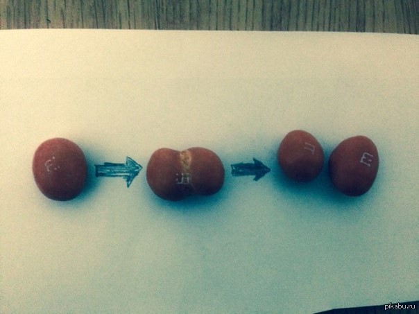 ������ �������� M&amp;Ms