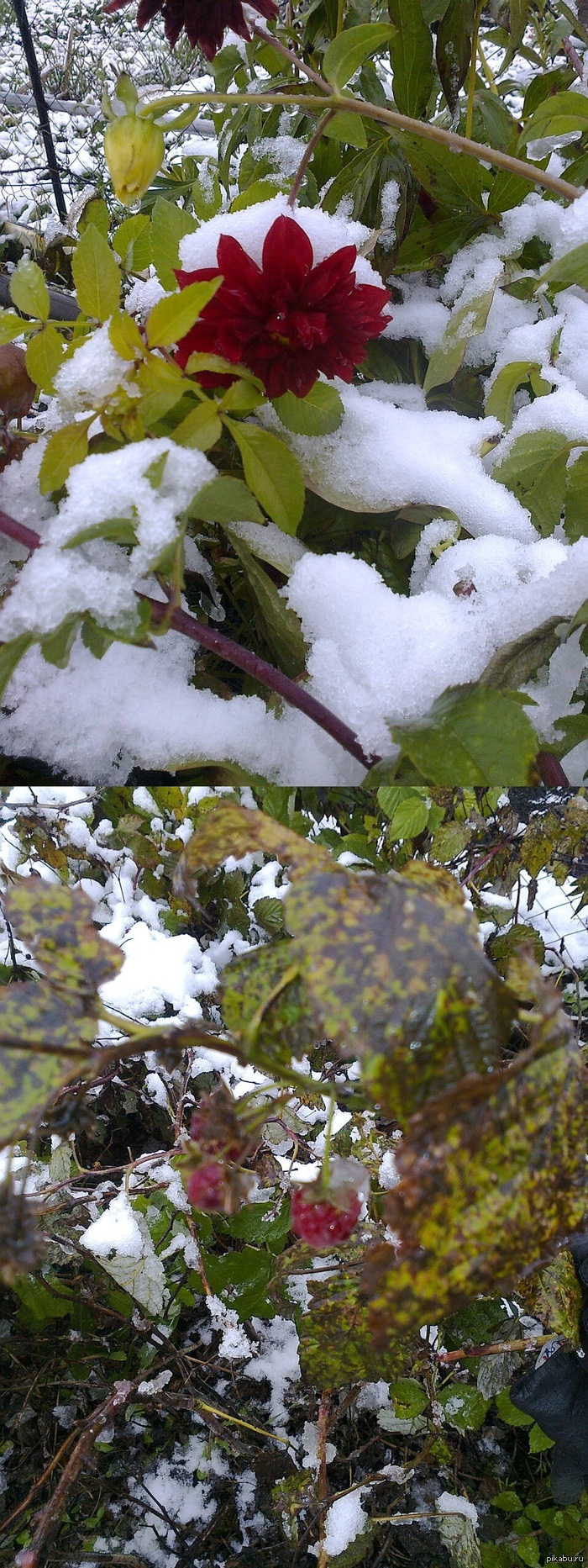 ��� ����� ������ � ��� � ��������