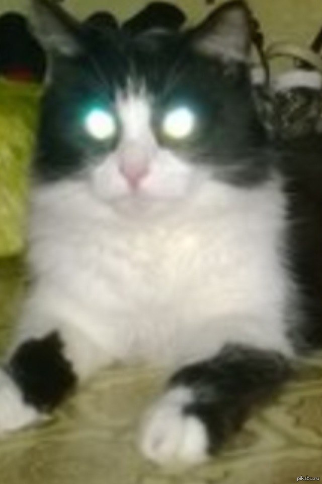 �����- ����������