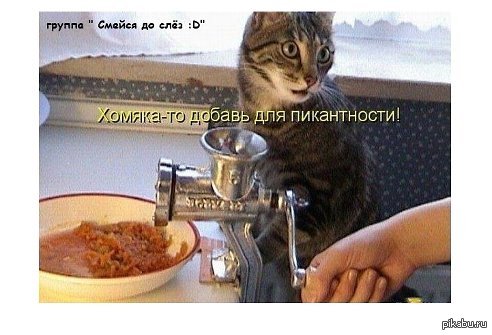 ������-�� ������ ��� �����������