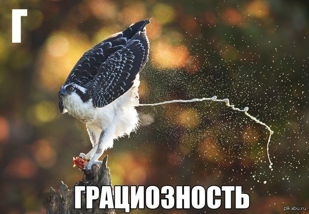  !  - !