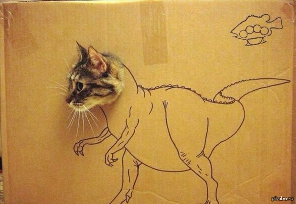 Засчитаем котану косплей ?)