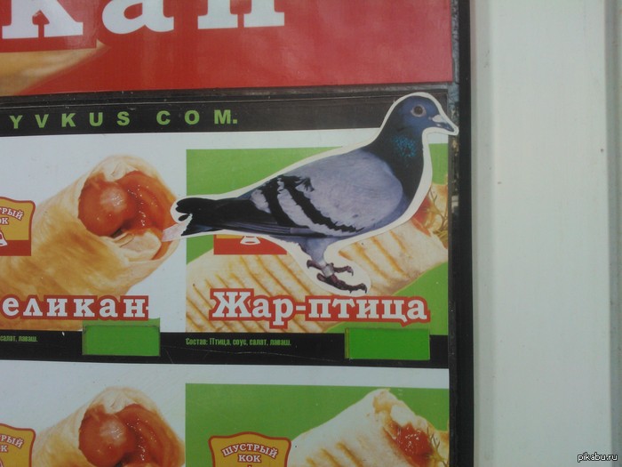 and you can't call it shawarma - My, Pigeon, Shawarma