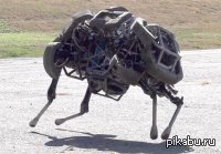 Компания Boston Dynamics представляет нового четвероногого робота - робота WildCat
