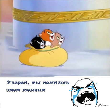 котята из Том и Джери в раю :(